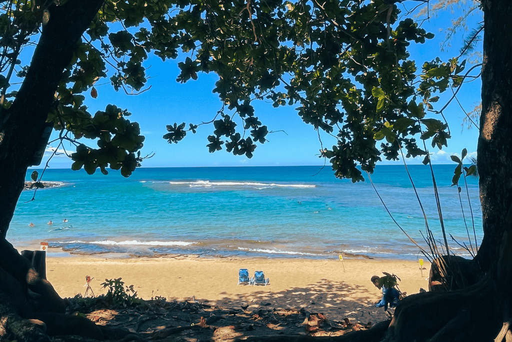 A shaded view through tropical trees reveals a quiet sandy beach with turquoise water, scattered swimmers, and two empty beach chairs facing the ocean in Kauai.