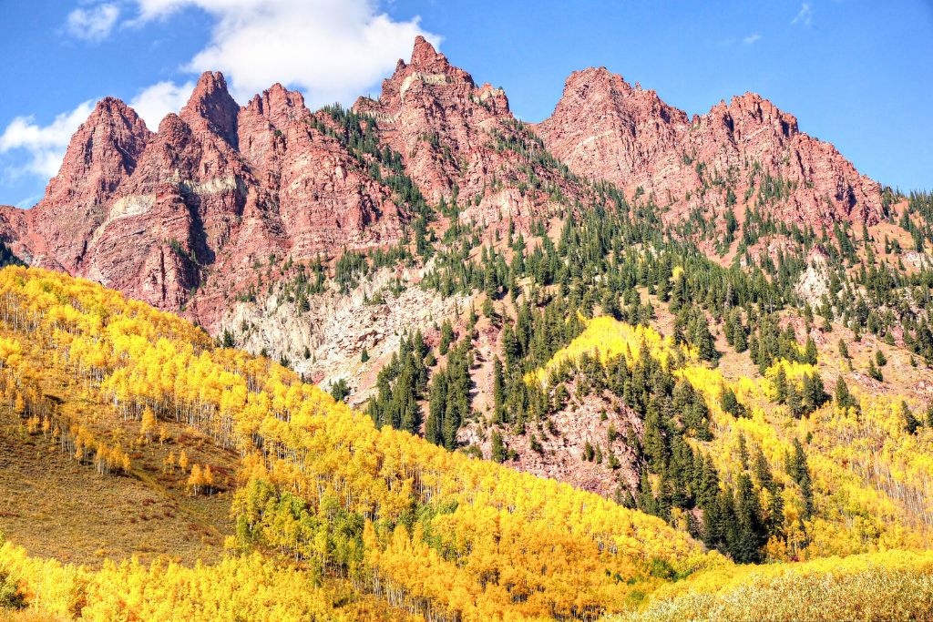 A striking view of a mountain range with jagged red peaks, set against a bright blue sky. In the foreground, a vibrant forest of aspen trees displays brilliant yellow fall foliage, with evergreen trees scattered across the slopes. This dramatic landscape highlights the beauty of fall vacations in the US, particularly in the Rocky Mountains.