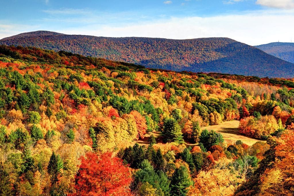 A vibrant landscape of autumn foliage in the Berkshires, with rolling hills blanketed in shades of red, orange, yellow, and green. The colorful trees stretch across the valley, leading up to the forested mountains in the background, set against a bright blue sky. This scenic view captures the beauty of fall vacations in the Berkshires, a popular destination in western Massachusetts known for its stunning autumn colors.