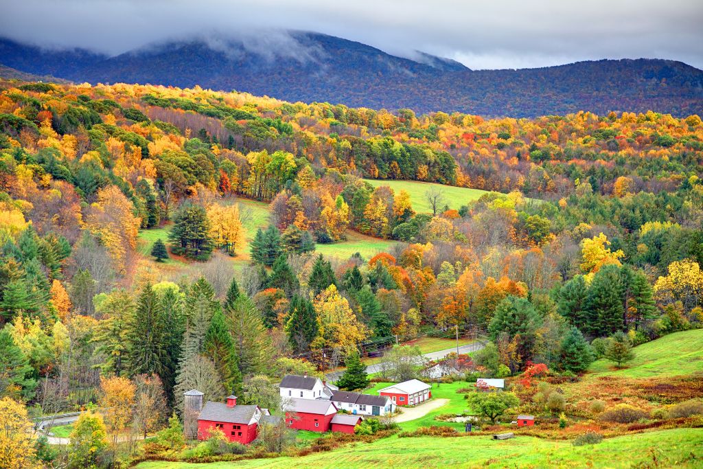 A vibrant autumn landscape in the Berkshire Hills, featuring a picturesque farm with red barns and a white farmhouse nestled in a valley surrounded by colorful fall foliage. The rolling hills are covered in shades of orange, yellow, and green, with misty mountains in the background. 