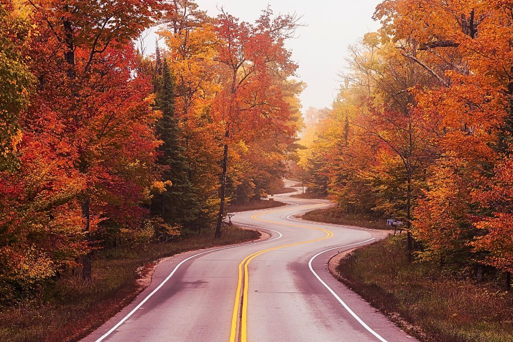 A winding road curves through a forest of vibrant autumn foliage, in Door County, with trees displaying rich shades of red, orange, and yellow on either side. The road's double yellow lines lead the eye through the scene, creating a sense of peaceful solitude amidst the fall colors.