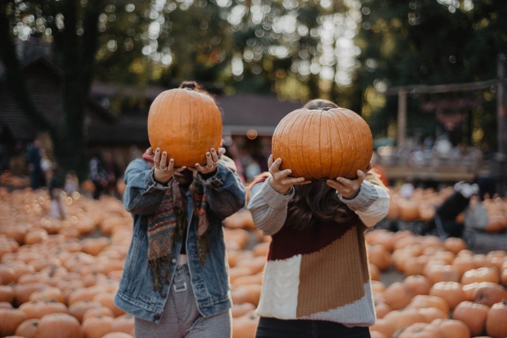 Two people hold large pumpkins in front of their faces while standing in a pumpkin patch filled with more pumpkins. The individuals, wearing cozy fall outfits, create a playful and festive atmosphere typical of autumn activities. The blurred background of trees and a busy pumpkin patch highlights the fun and community vibe of fall vacations in the US.