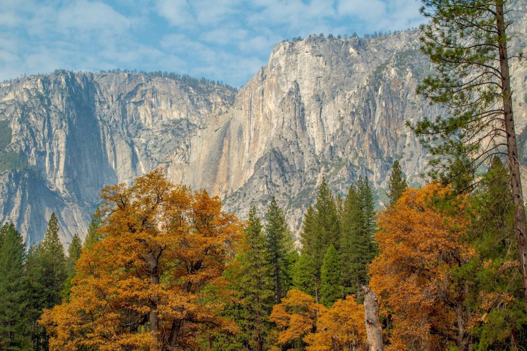 The towering granite cliffs of Yosemite National Park stand majestically against a partly cloudy sky. In the foreground, vibrant autumn trees with orange and yellow leaves mix with the deep green of evergreens, showcasing the park's fall beauty. The scene captures the contrast between the rugged cliffs and the lush forest below.