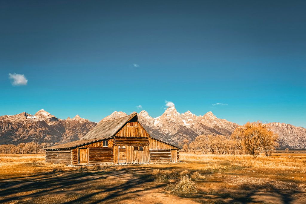 A solitary rustic barn sits on the flat, golden prairie of Grand Teton National Park, backed by the majestic Teton mountain range. The snow-capped peaks tower under a clear blue sky, with the warm autumn sun casting long shadows across the grassy field. The scene evokes a sense of tranquility and natural beauty.