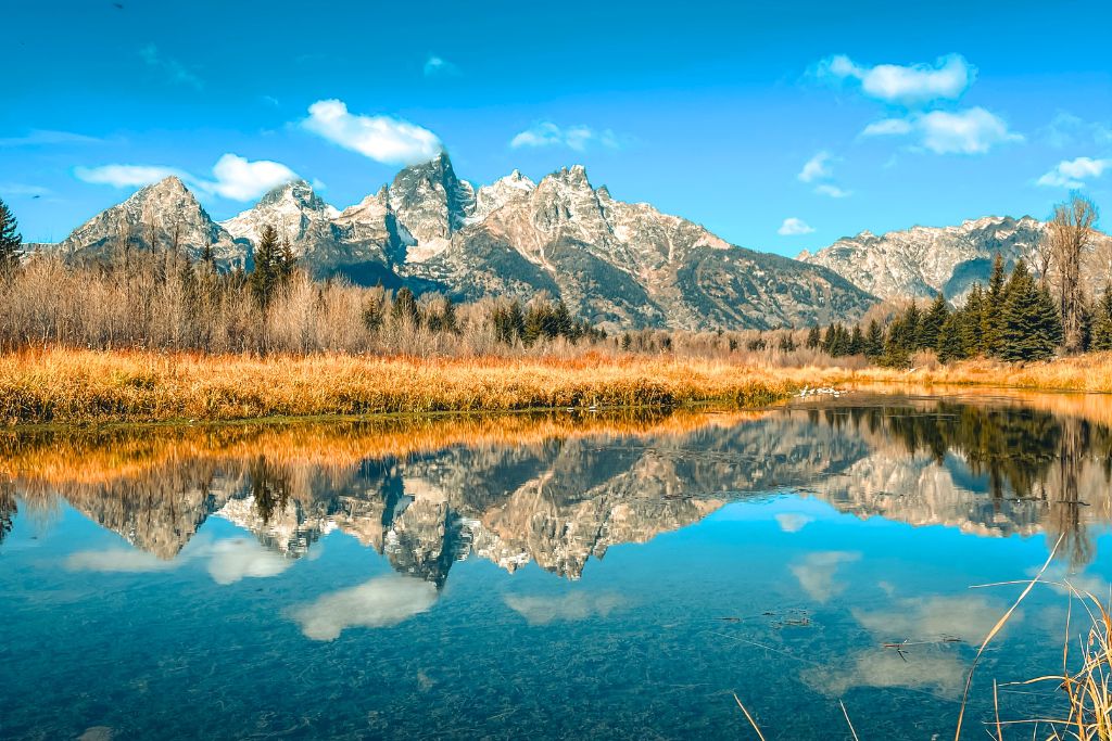 A serene view of the Teton mountain range reflected perfectly on the calm waters of a lake. The mountains are framed by clear blue skies and light clouds, while the foreground features golden grasses and trees transitioning to their autumn hues. The reflection in the water creates a mirror-like image of the towering peaks and the sky above, enhancing the natural beauty of the scene.