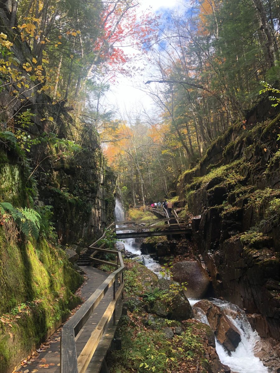 A scenic view of Flume Gorge in Franconia State Park, New Hampshire, with a wooden walkway winding through a narrow canyon. The path follows alongside a cascading stream and waterfall, surrounded by moss-covered rocks and autumn foliage. Visitors can be seen in the distance, enjoying the natural beauty of the gorge.