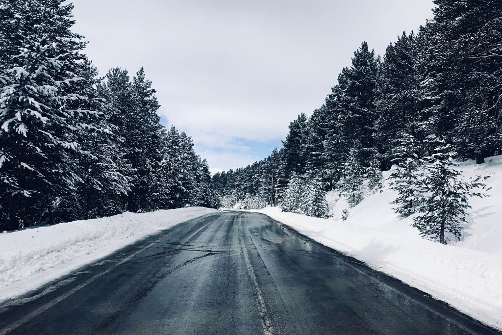 A snow-covered road winds through a forest of tall evergreen trees on the way to Leavenworth, Washington. The trees are heavily dusted with snow, and the road is partially wet but clear of snow, creating a serene winter drive.