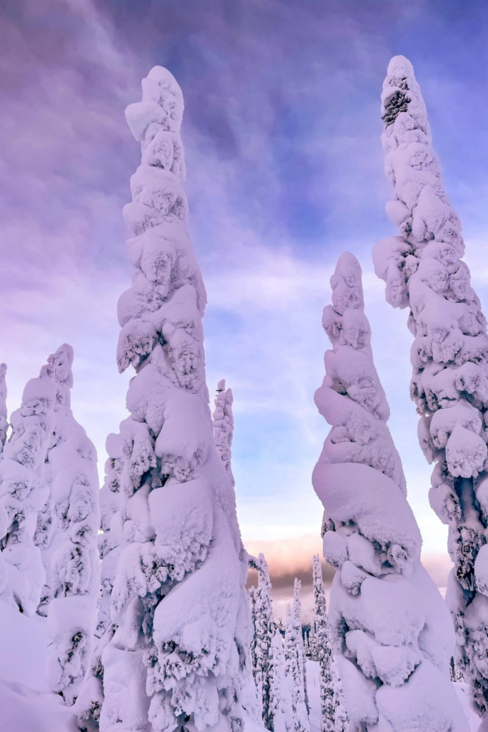 snow-laden evergreen trees reaching towards a pastel sky, creating a surreal winter wonderland. The soft hues of purple and blue in the sky contrast beautifully with the heavy, sculpted snow, evoking a serene and magical atmosphere.