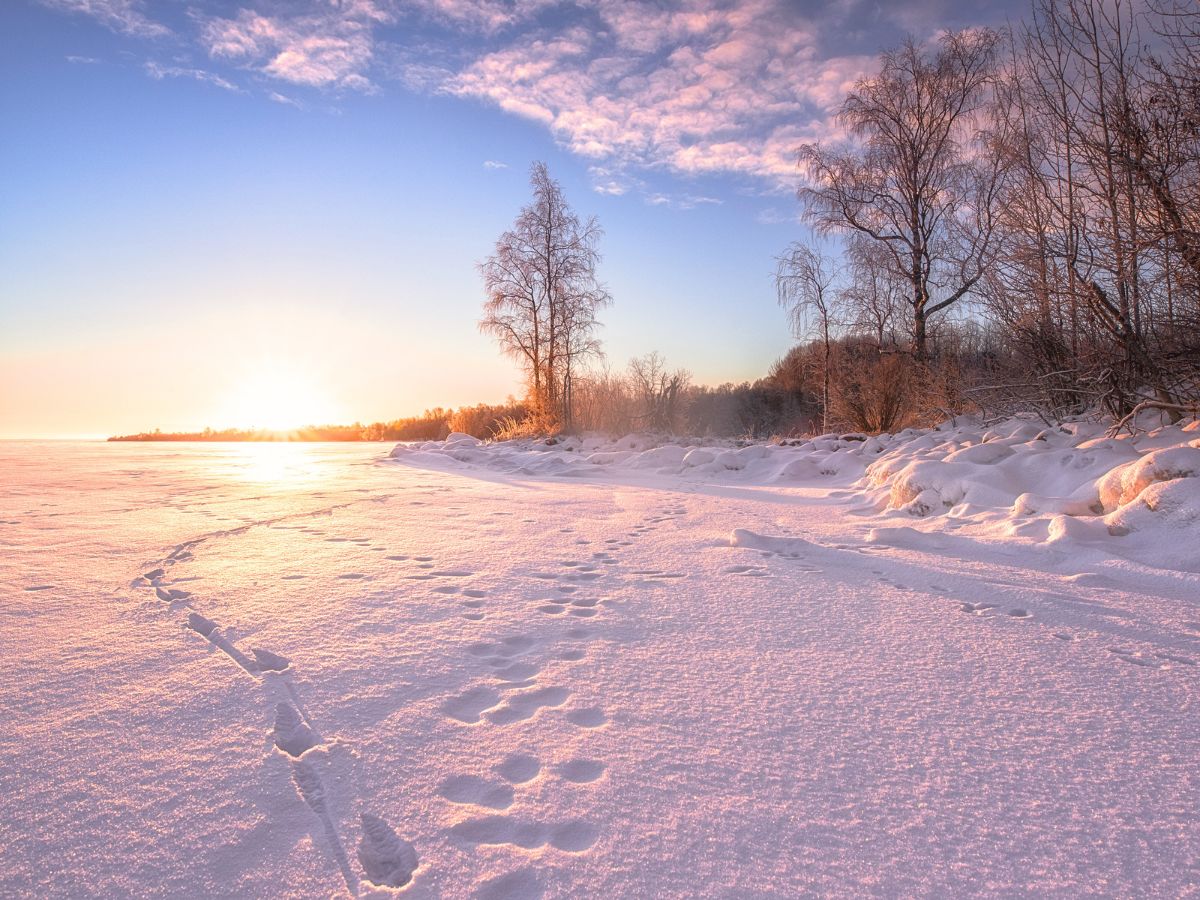 A serene winter landscape showcases a snowy shoreline bathed in the golden light of a sunrise or sunset, with footprints trailing across the fresh snow. Bare trees stand along the edge, and the sky is painted with soft pink and blue hues. 