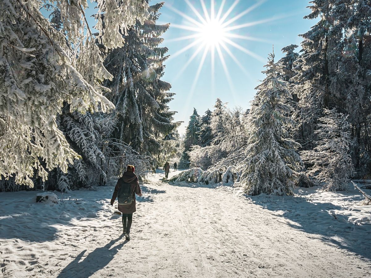 A person walks through a snow-covered forest, with sunlight streaming through the trees, creating a serene winter scene. The snow glistens on the trees and ground, while the clear blue sky adds to the crisp, cold atmosphere.