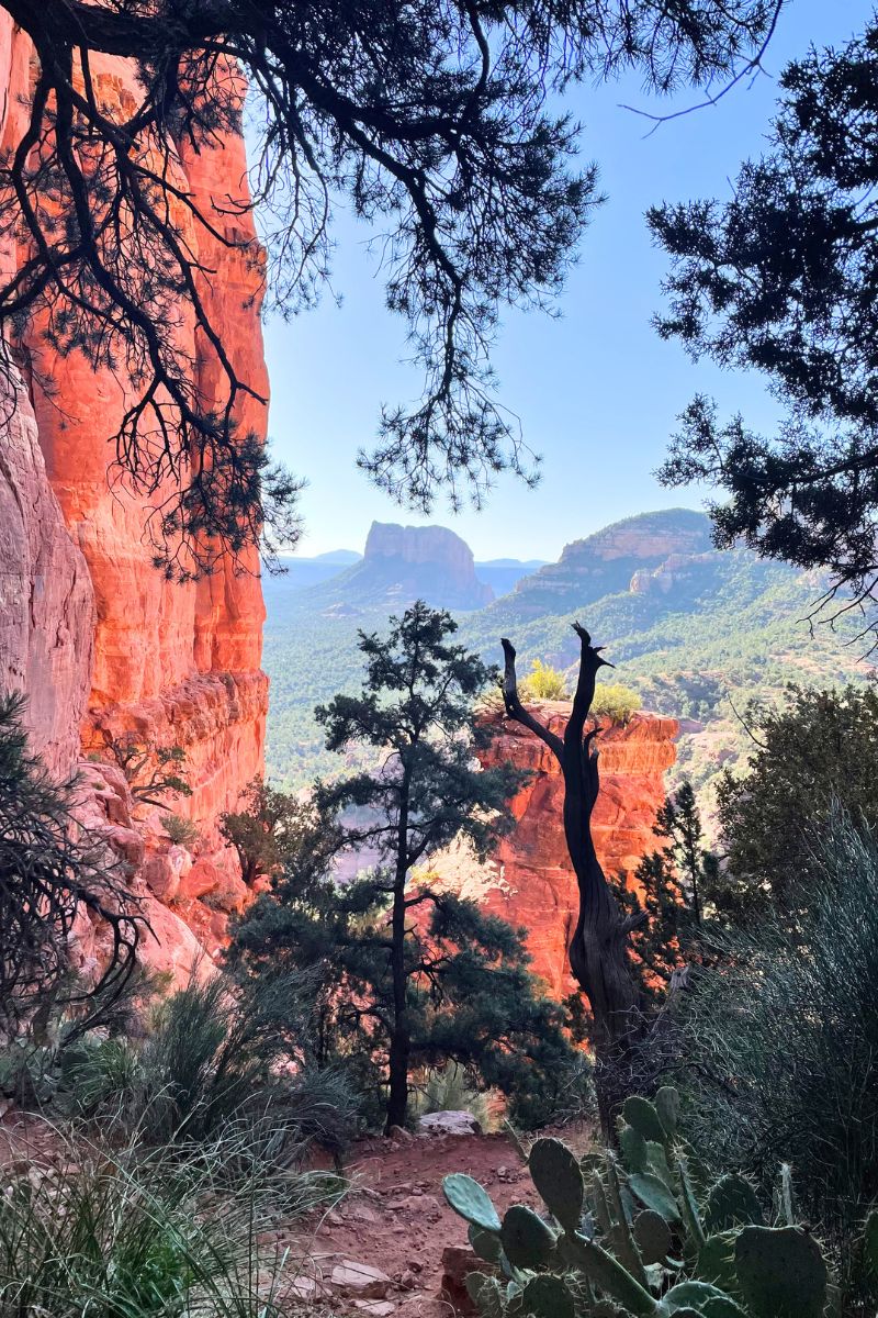 A scenic view of Sedona's red rock formations framed by trees and vegetation, with vibrant cliffs and distant mountains creating a picturesque landscape.