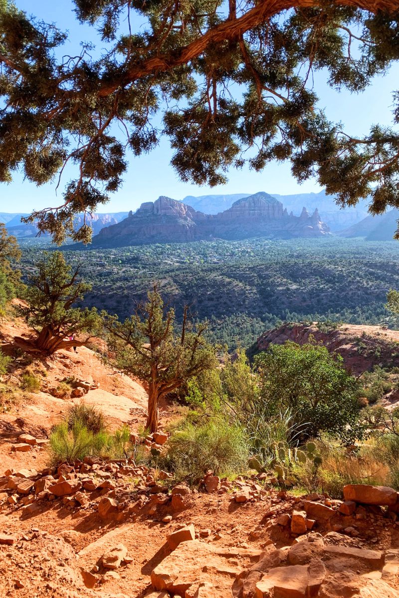 View from Cathedral Rock Trail in Sedona, framed by tree branches, showcasing the vast green valley and distant red rock formations under a clear blue sky.