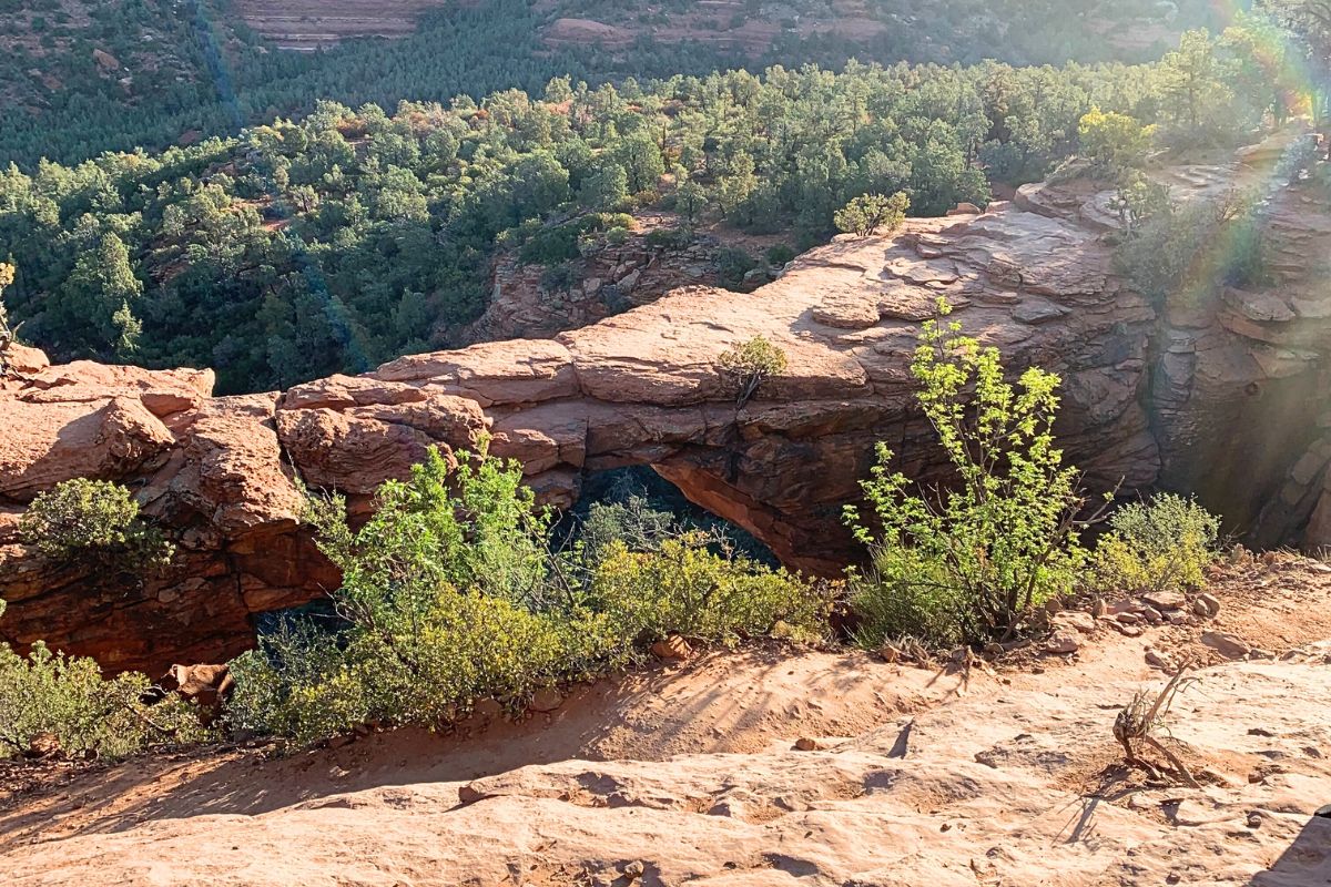 A view of Devil's Bridge from above, highlighting the natural red rock arch surrounded by lush green vegetation and forested areas in Sedona, Arizona.