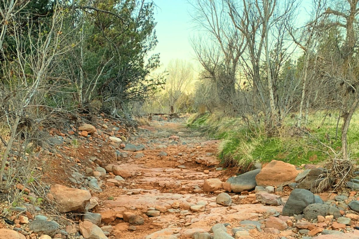 Rocky and dry creek bed along the Devil's Bridge hike in Sedona, Arizona, surrounded by bare trees and natural vegetation.