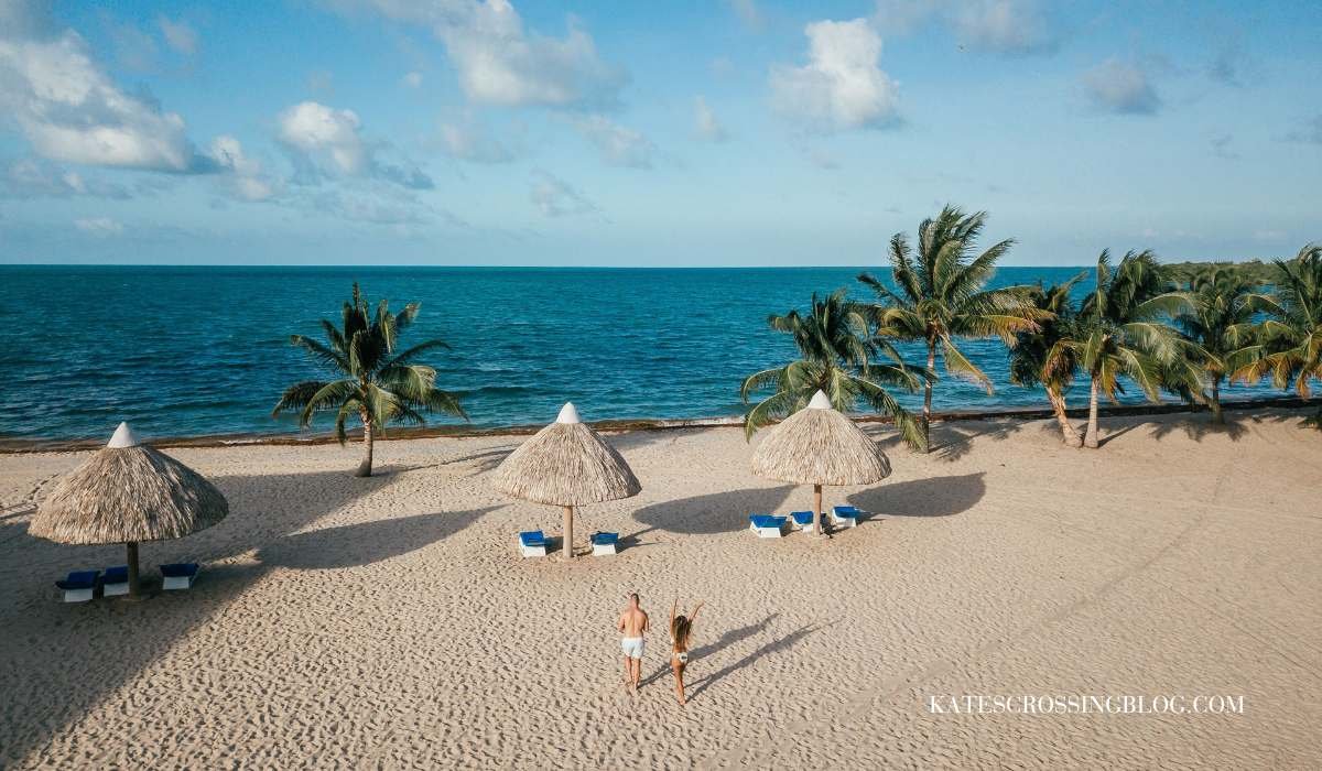 View of Brisa Oceano Resorts beach in Placencia Belize. The beach is a pristine white sand beach with turquoise waters and palm trees dotting the shore. There are thatched roof cabanas along the beach with blue lounge chairs.