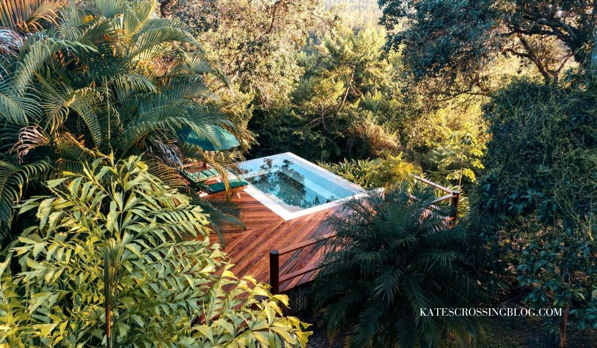 picture of a private infinity pool surrounded by jungle. Beautiful wooden deck with sun lounge chairs next to the pool. very serene setting.