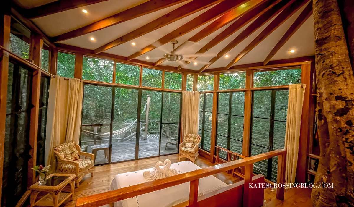 pictue of the inside of the Vanilla Hills Lodge Tree House. Floor to ceiling windows with dense jungle outside. Hammock on the porch. Beautiful wood on the ceiling.