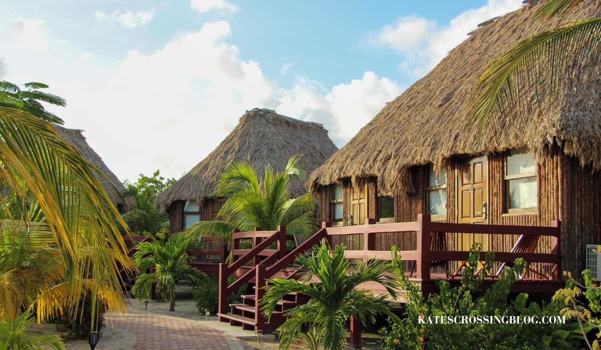 picture of El Ben's Cabanas with thatched roofs surrounded by palm trees. Each has a private deck with beach chairs on it.
