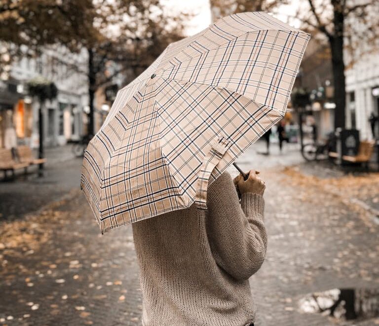 Person Under Umbrella