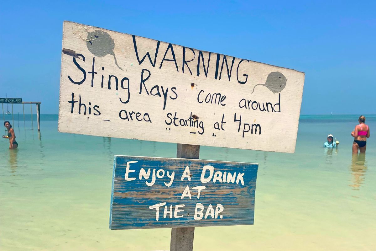 A beach sign warns, "Sting Rays come around this area starting at 4pm" and encourages visitors to "Enjoy a drink at The Bar." The background shows people wading in shallow, clear water under a clear blue sky. Demonstrates helpful Belize Travel Tips