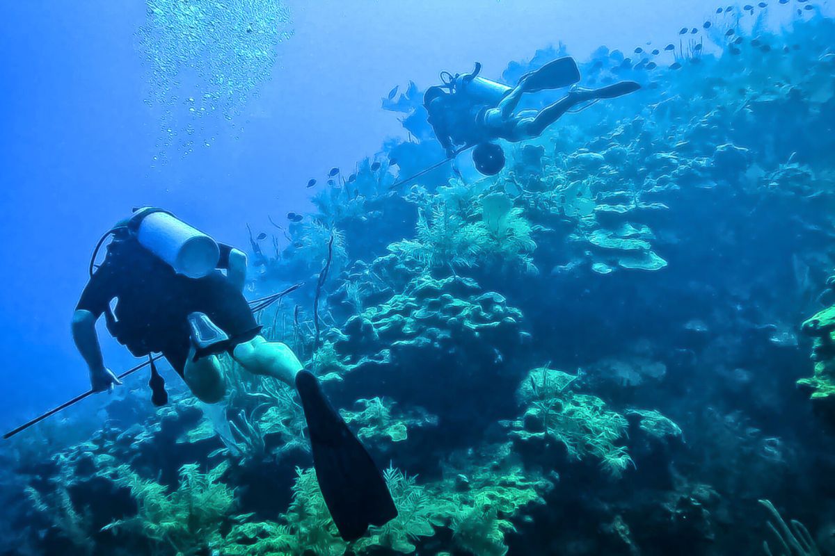 Two scuba divers explore a vibrant Belize barrier reef teeming with marine life. The divers are surrounded by various corals and fish, with bubbles rising to the surface in the blue underwater scene.