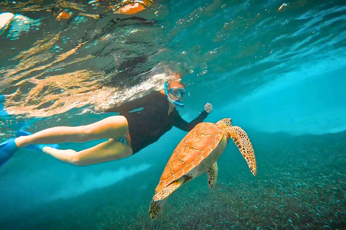 Kate in a black sun shirt and blue fins snorkels alongside a sea turtle in clear blue water. Kate and the turtle are close to the ocean floor, covered in seagrass. The surface of the water reflects sunlight, creating a vibrant underwater scene. Demonstrate Belize Travel Tips to not touch wildlife.