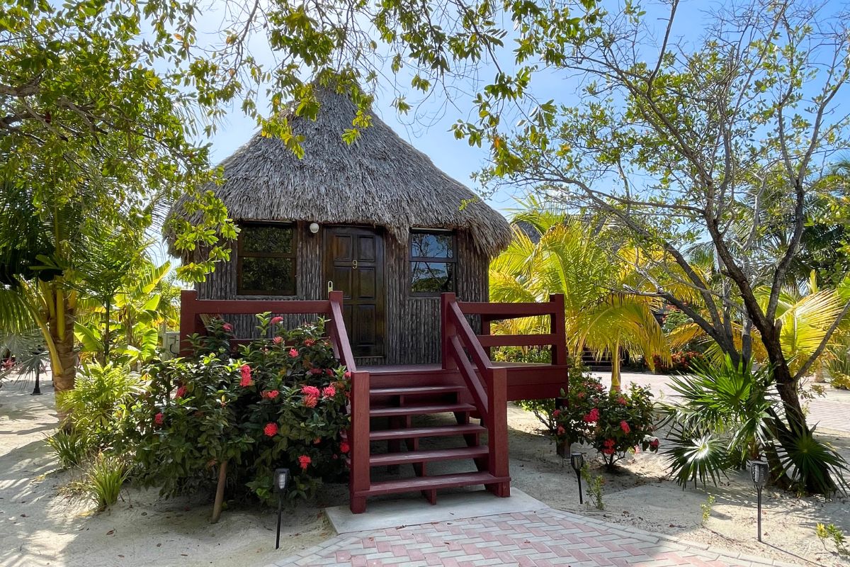 A charming thatched-roof bungalow of El Ben Cabana's surrounded by lush tropical plants and flowers. The wooden steps lead to a small porch, creating a cozy and inviting atmosphere.