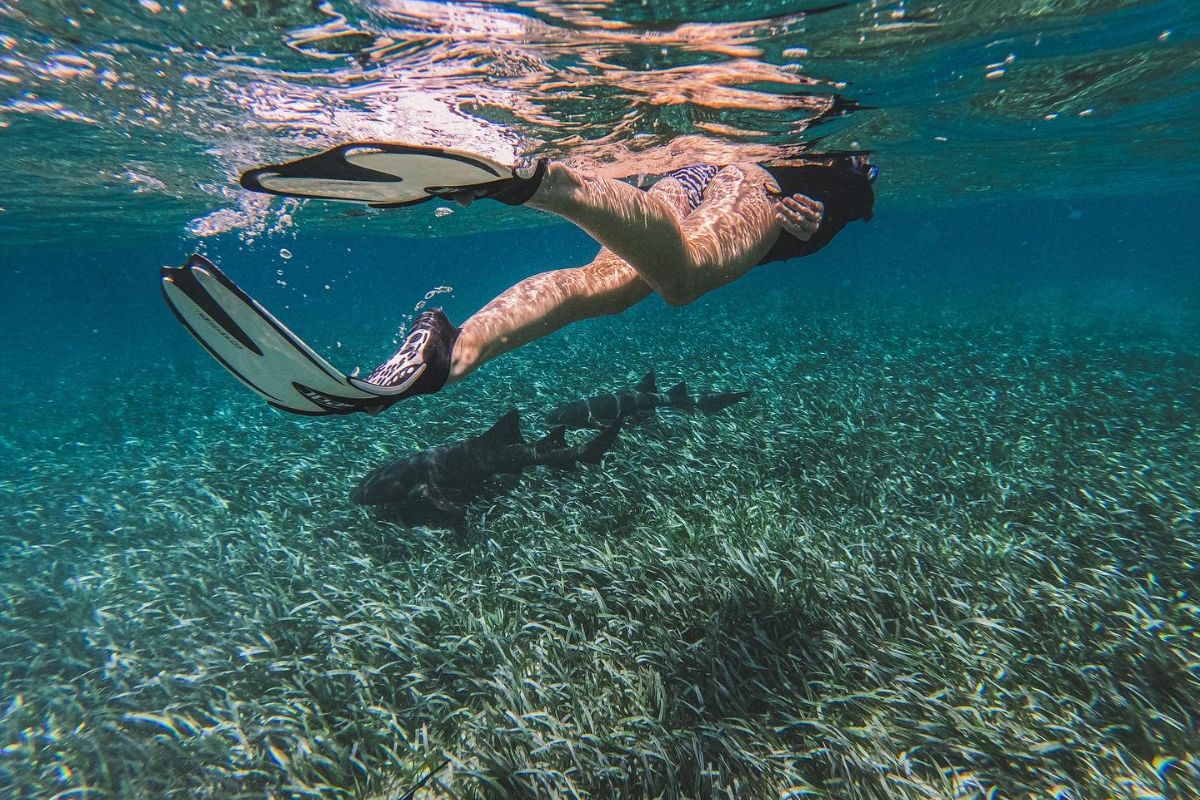 Kate snorkeling in the clear waters of Caye Caulker, Belize, with a nurse shark swimming nearby.