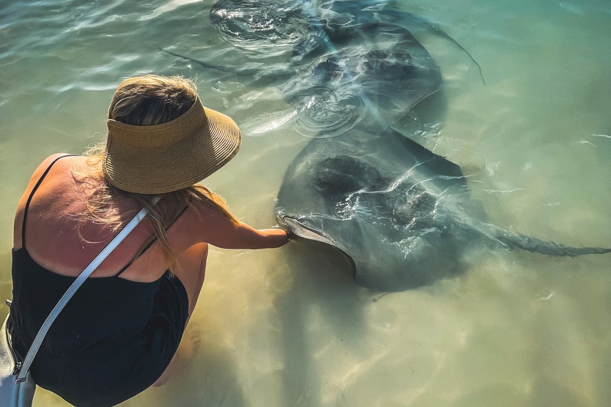 Kate feeding stingrays in shallow water in Caye Caulker, Belize, wearing a sun hat and a black dress.