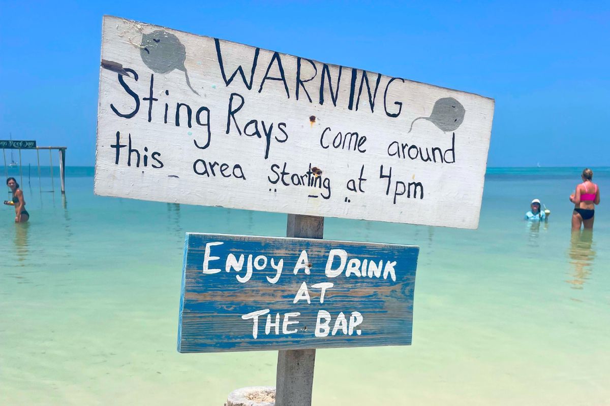 A beach sign warns, "WARNING: Sting Rays come around this area starting at 4pm" and "Enjoy a Drink at The Bar," with people wading in the shallow, clear water of Caye Caulker in the background under a bright blue sky.