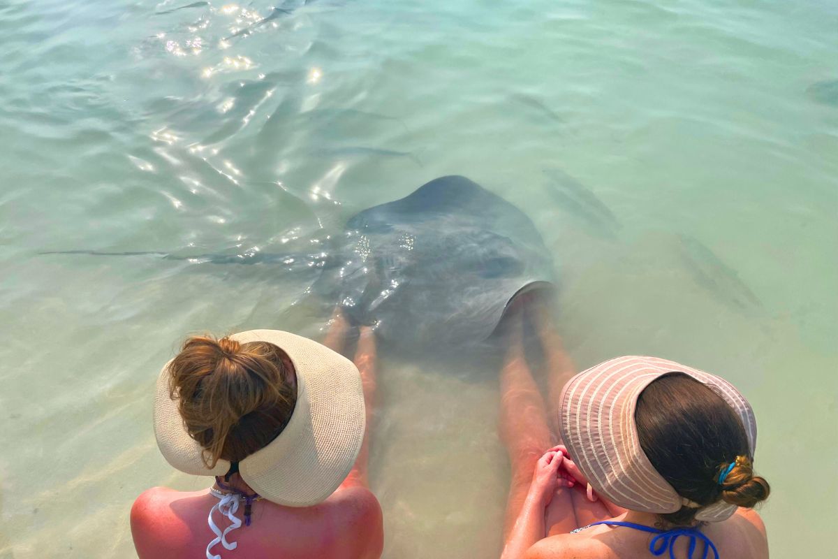 Kate and a friend in sun hats sit in shallow, clear water as a large stingray swims by their legs in Caye Caulker, Belize. The serene moment captures their close encounter with marine life in the tranquil, turquoise sea.