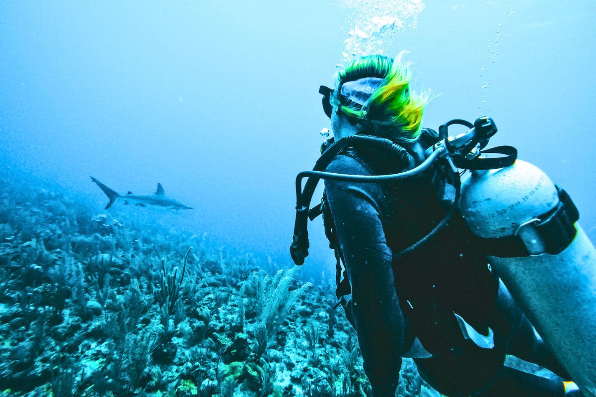 Kate is scuba diving in Caye Caulker, Belize, observing a shark in the distance over a vibrant coral reef. The clear blue water highlights the diver's equipment and the serene yet thrilling underwater scene.