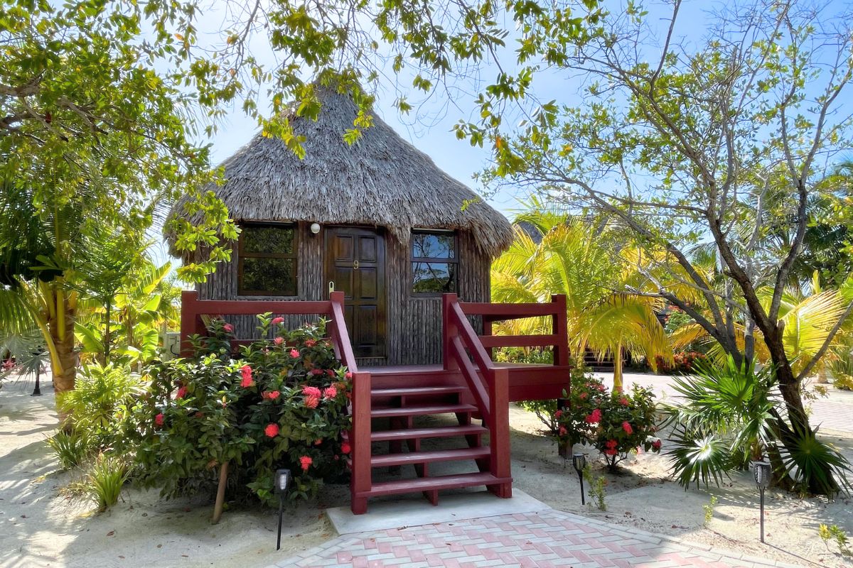 A charming thatched-roof bungalow of El Ben Cabanas is nestled among lush tropical plants and flowers in Caye Caulker, Belize. The bungalow features a wooden staircase leading to a small porch, surrounded by vibrant greenery and palm trees under a clear blue sky.