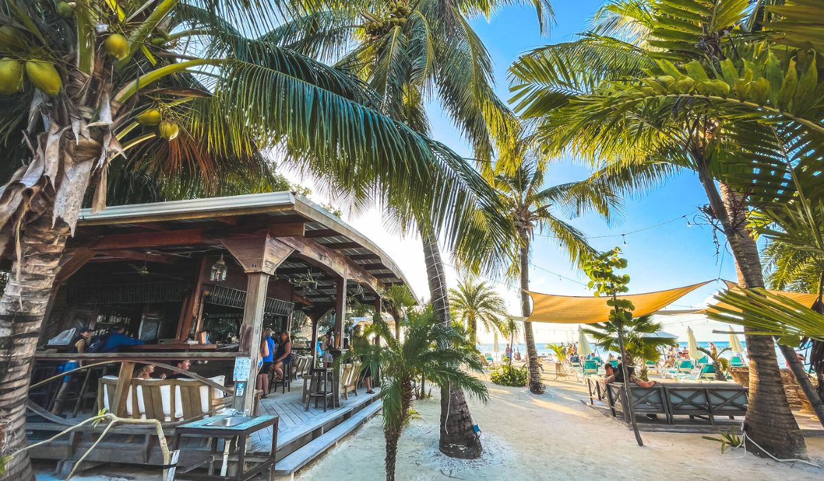 The beach bar at Iguana Reef Inn Beach in Caye Caulker, Belize, surrounded by lush palm trees and offering a relaxed, tropical atmosphere. Patrons are seen enjoying drinks under the shade of the bar and nearby seating areas, with the beach and ocean in the background.