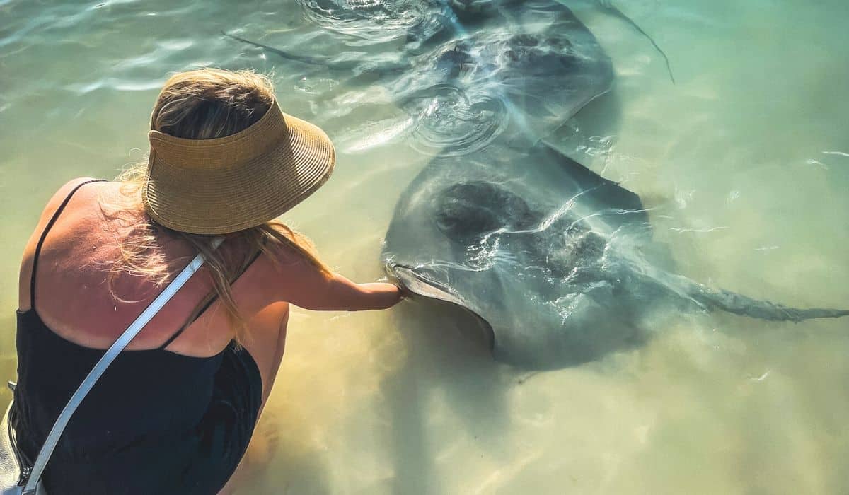 Kate feeding stingrays in the shallow waters of Caye Caulker, Belize. She is crouched down, wearing a sunhat and gently touching a stingray, highlighting an up-close and interactive marine experience.