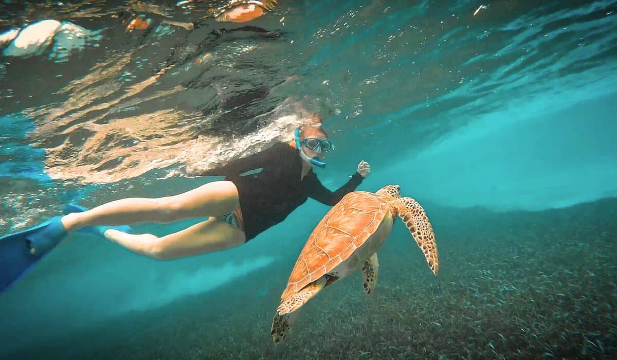 Kate from Kates Crossing Blog snorkeling alongside a sea turtle in the crystal clear waters of Hol Chan Marine Reserve off the coast of Caye Caulker, Belize.