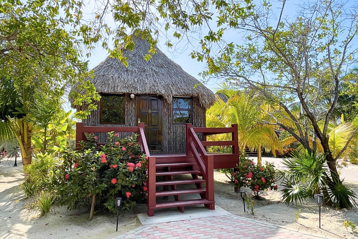 A thatched-roof cabana at El Ben's Cabanas on Caye Caulker, surrounded by tropical plants and flowers and sun streaking through the trees.