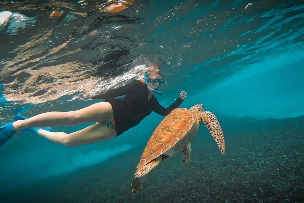 Kate snorkeling alongside a sea turtle at Hol Chan Marine Reserve in Belize, both swimming in the clear blue waters over a grassy seabed