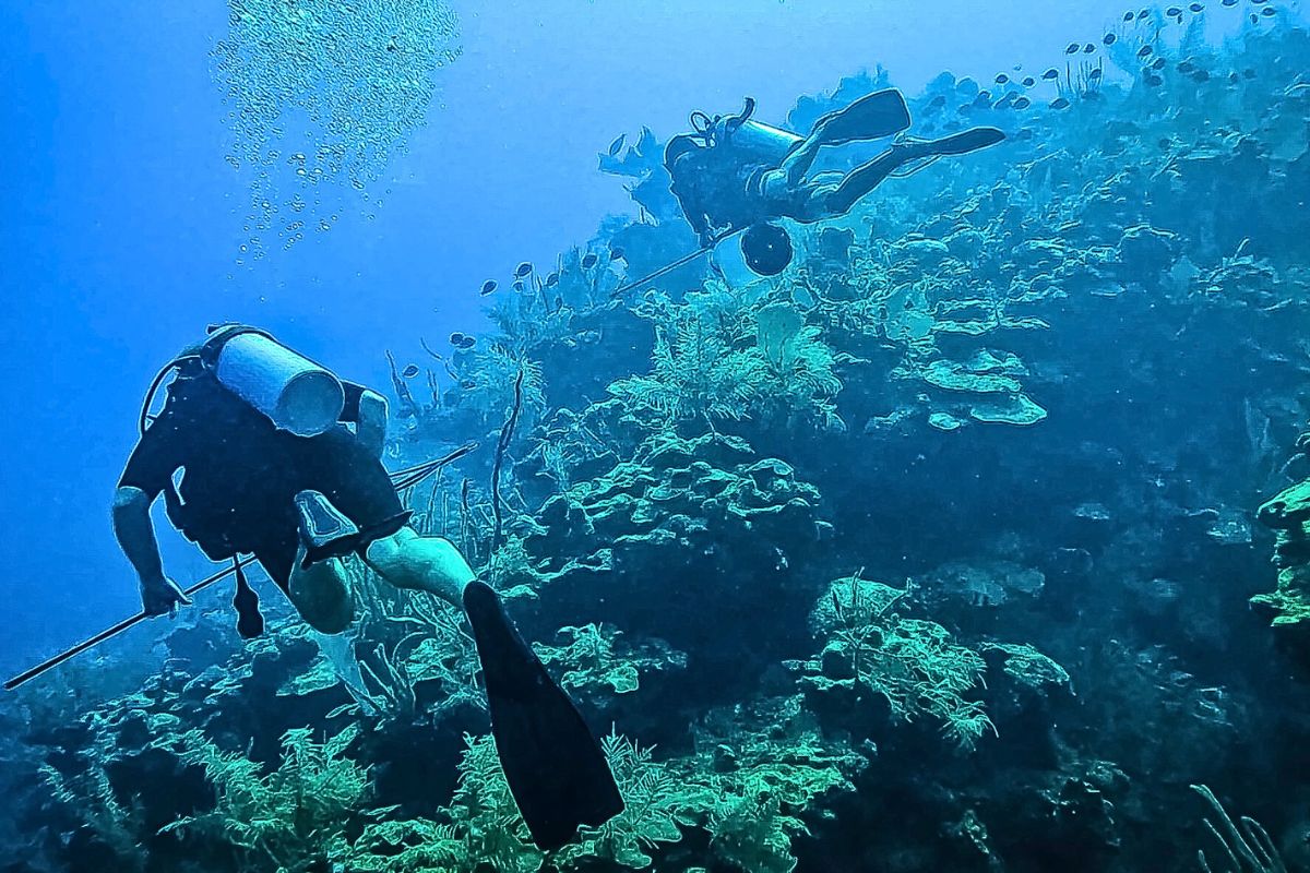 Two scuba divers diving along a vibrant coral reef in Belize, exploring the underwater world during the best time to visit Belize for clear waters and abundant marine life.