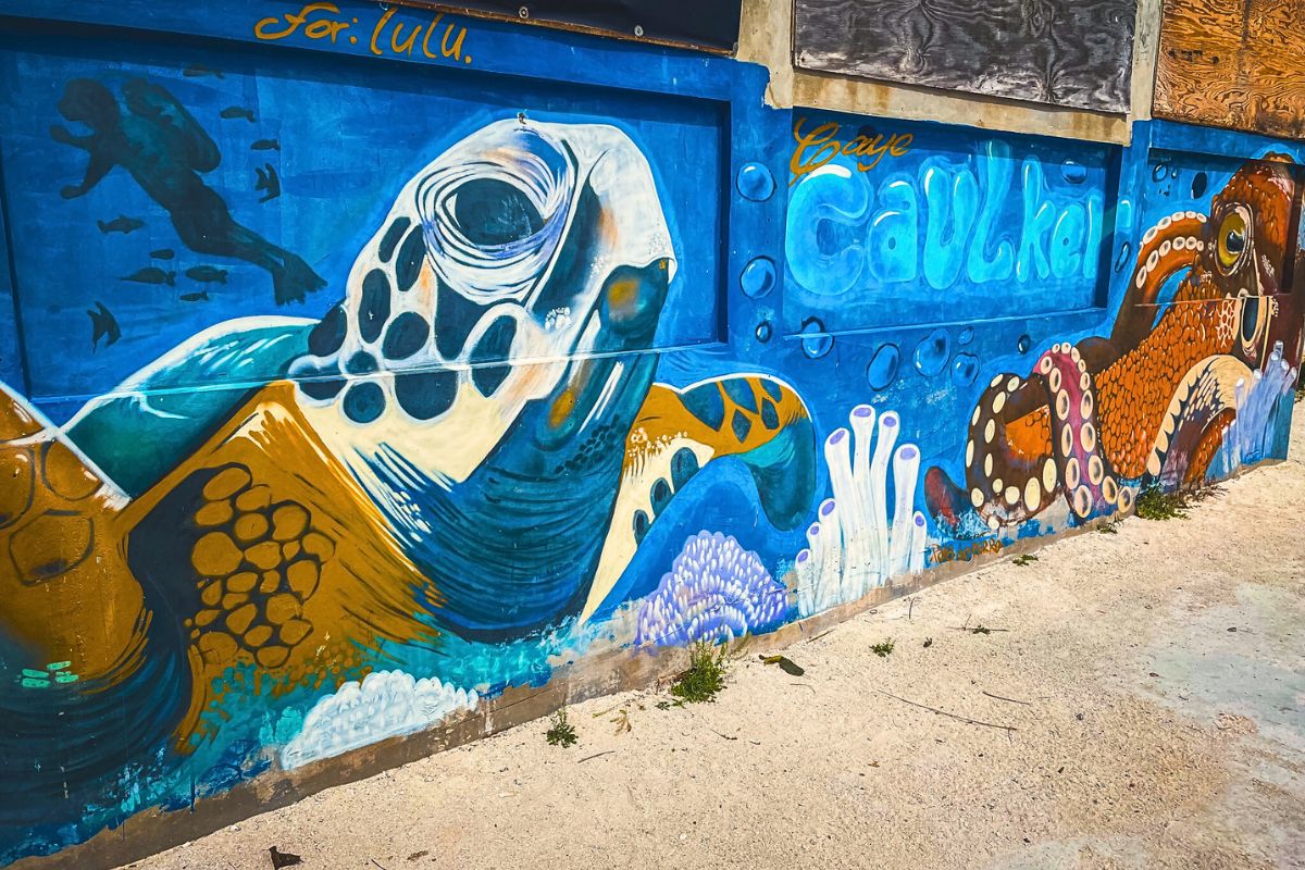 Colorful mural on Caye Caulker featuring a sea turtle, octopus, and diver, showcasing Caye Caulker vs Ambergris Caye island's vibrant underwater life and artistic vibe.