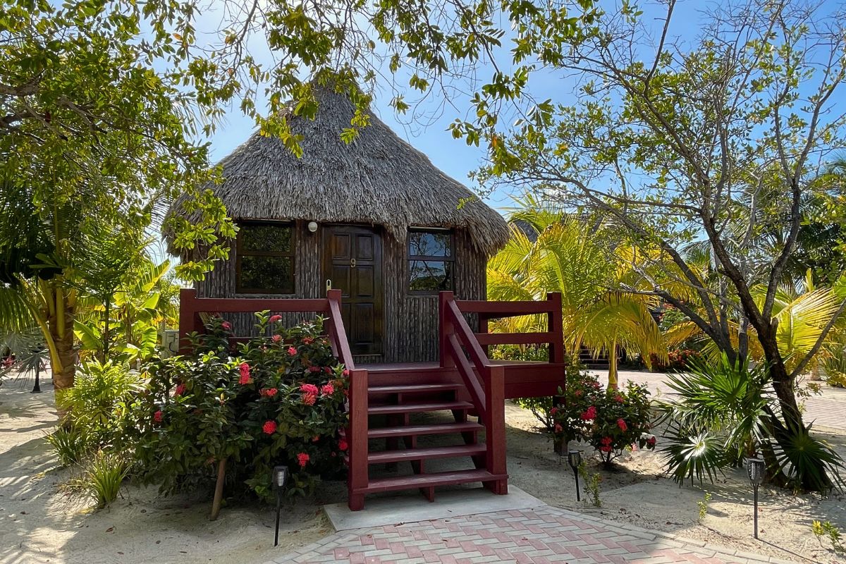 A charming thatched-roof cabin at El Ben Cabanas on Caye Caulker, Belize. The cabin is surrounded by lush tropical plants and trees, with a wooden staircase leading to the entrance.