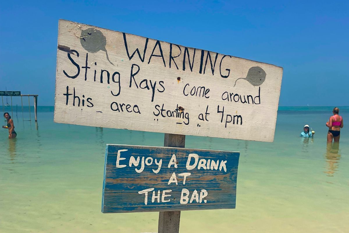 A wooden sign on a beach in Caye Caulker, Belize, warning about stingrays coming around the area starting at 4 pm. Another sign below it encourages visitors to 'Enjoy a Drink at The Bar.' People are seen wading in the shallow water nearby.