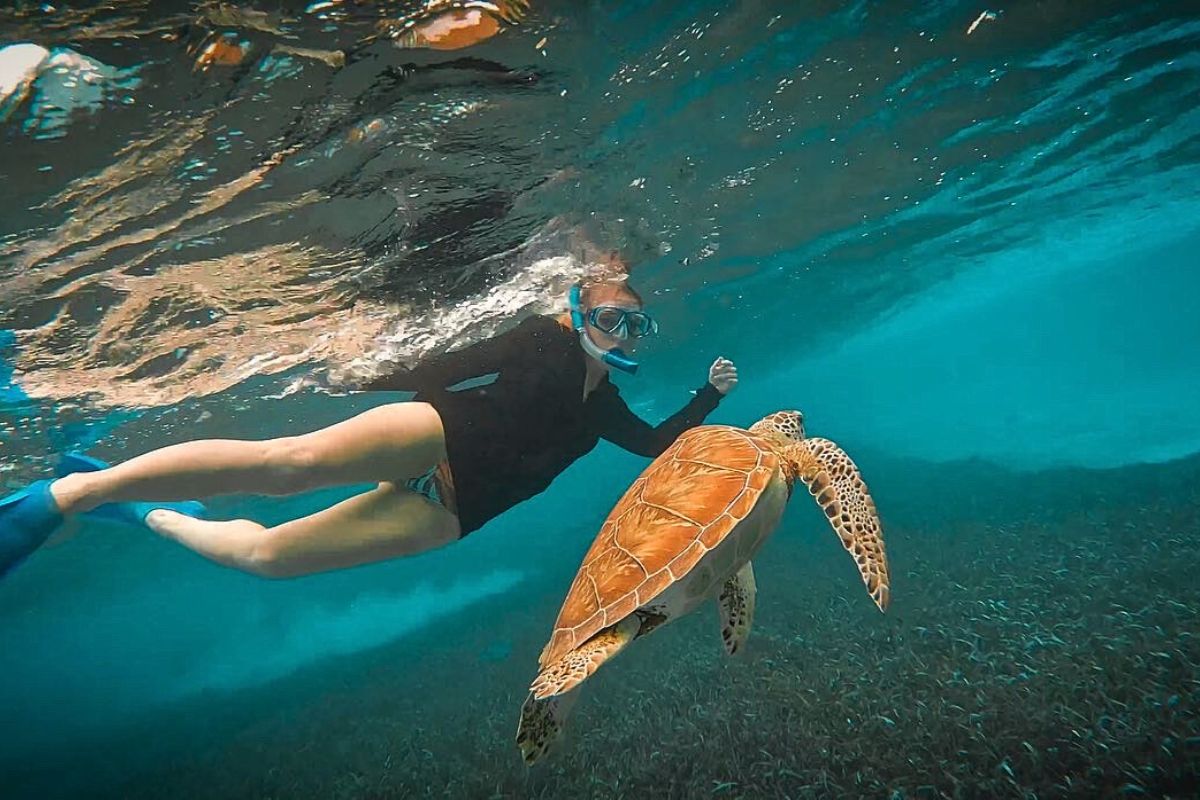 Kate snorkeling off Caye Caulker, Belize, swimming underwater alongside a large sea turtle. She is wearing a snorkel and fins, exploring the clear turquoise waters.