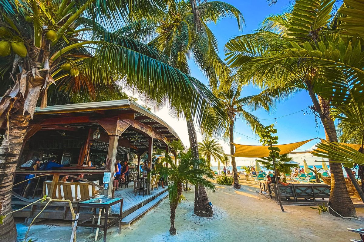 Beachside bar on Caye Caulker with palm trees, sandy paths, and people relaxing and enjoying the tropical atmosphere.