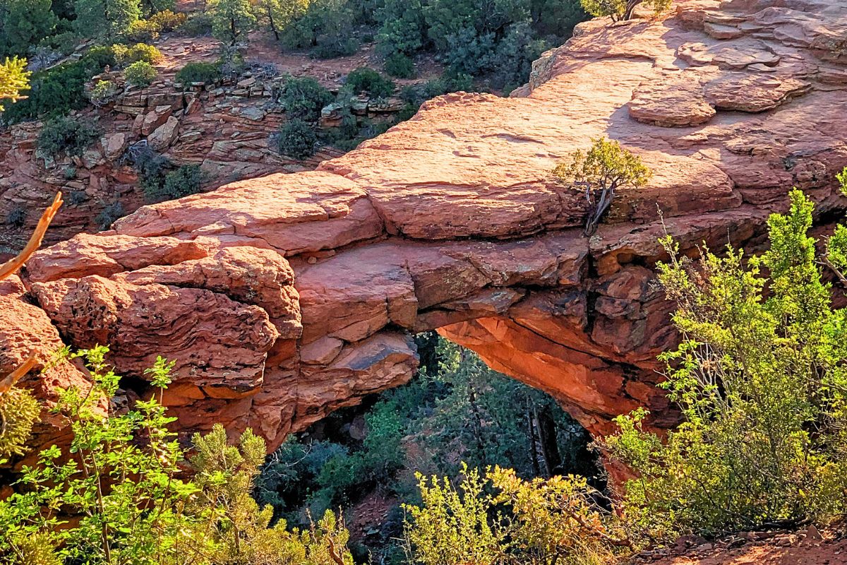 Close-up view of Devil's Bridge, a natural red rock arch surrounded by lush greenery in Sedona.