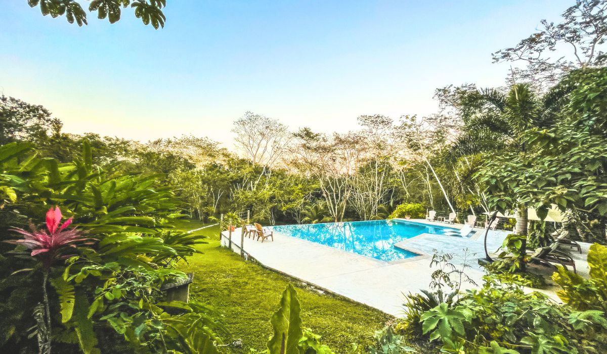 A serene view of a swimming pool surrounded by lush greenery at Vanilla Hills Lodge in San Ignacio, Belize. The pool area is bordered by tropical plants and trees, with a few chairs set up for relaxation. The sky is clear, suggesting a calm and pleasant day.