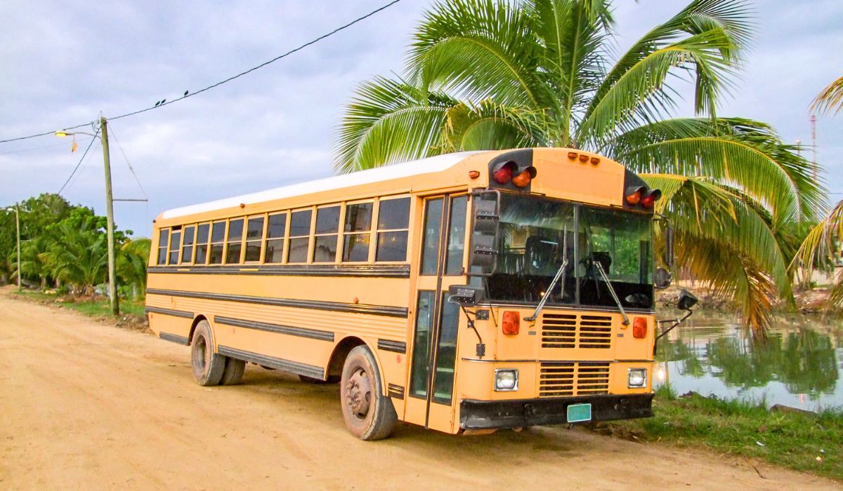 A yellow school bus is parked on a dirt road in Belize, with lush palm trees and a body of water in the background. The bus is slightly worn and it stands under an overcast sky.