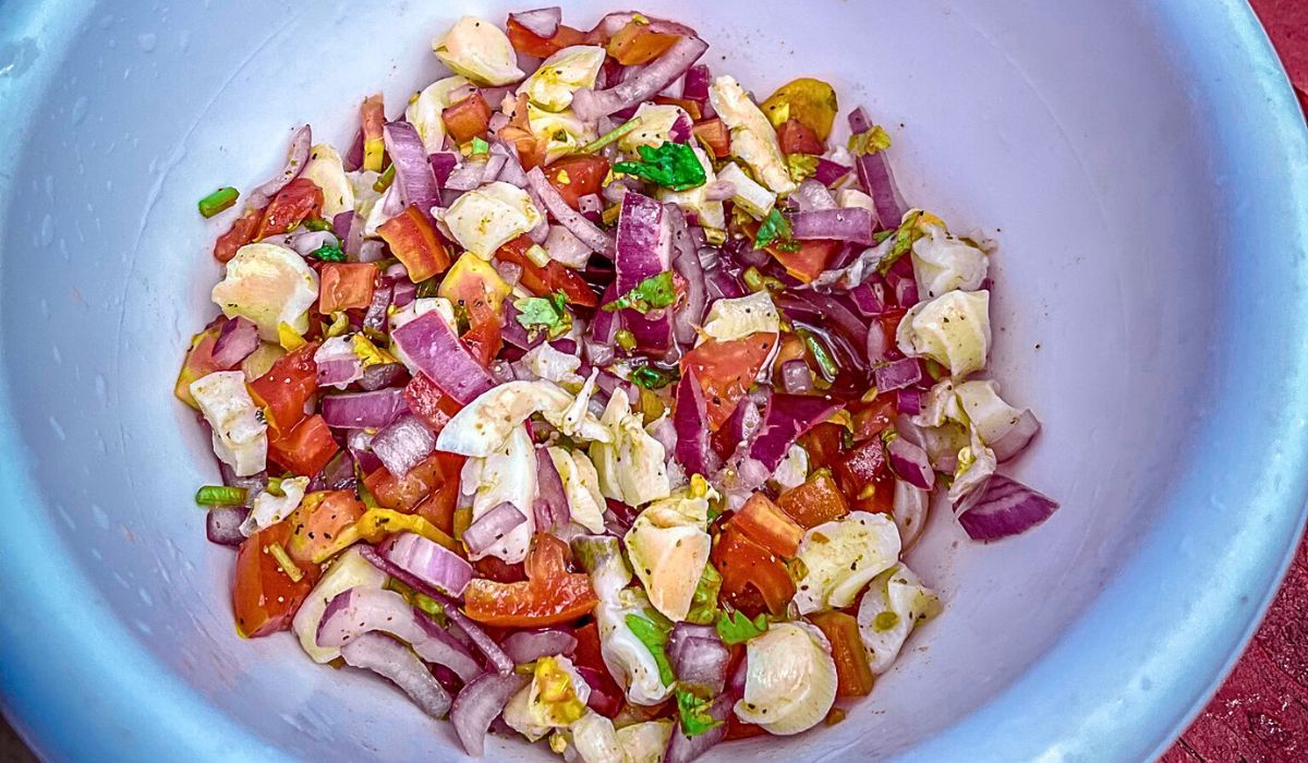 A close-up of a bowl filled with freshly made Conch Ceviche, a traditional Belizean dish. The ceviche features chopped conch, diced red onions, tomatoes, and cilantro, all mixed with lime juice and spices, creating a vibrant and colorful presentation.