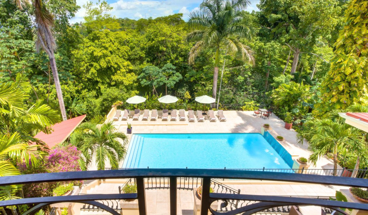 A luxurious outdoor pool is surrounded by lounge chairs and umbrellas, set in the midst of a lush tropical forest. Tall palm trees and dense greenery frame the scene, creating a serene and private oasis. The pool area, with its clear blue water and neatly arranged seating, offers a relaxing retreat, with the natural beauty of the jungle providing a tranquil backdrop.