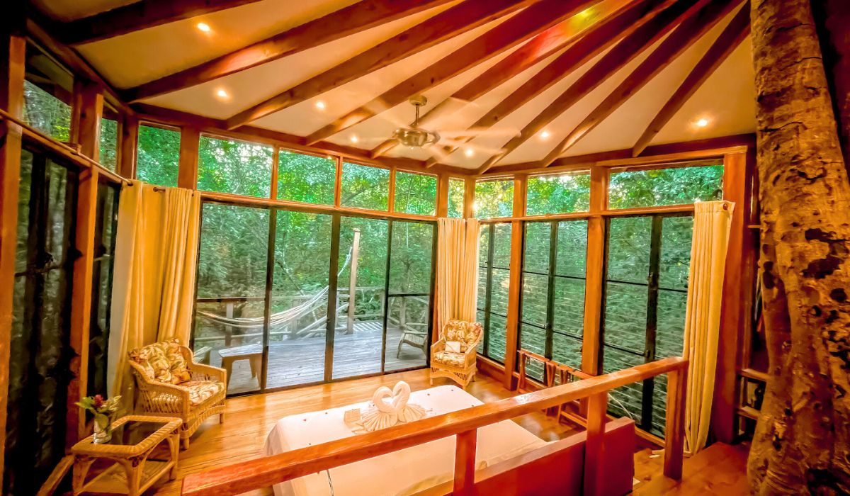 A cozy, rustic room with large windows offering a view of the surrounding jungle. The space features wooden beams and natural elements, including a tree integrated into the room's design. There are comfortable wicker chairs, a small table, and a bed adorned with towel swans. Outside, a deck with a hammock invites relaxation, blending indoor comfort with the natural beauty of the lush greenery just beyond the glass.